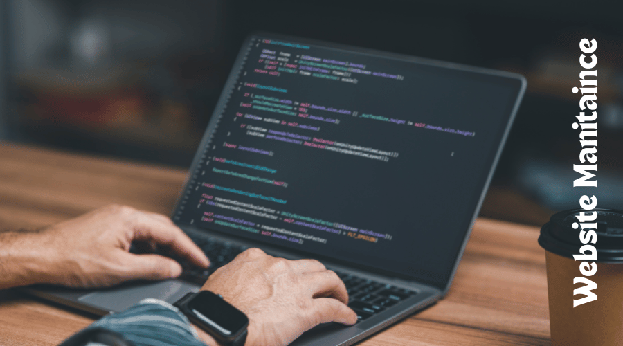 Professional Website Maintenance Services